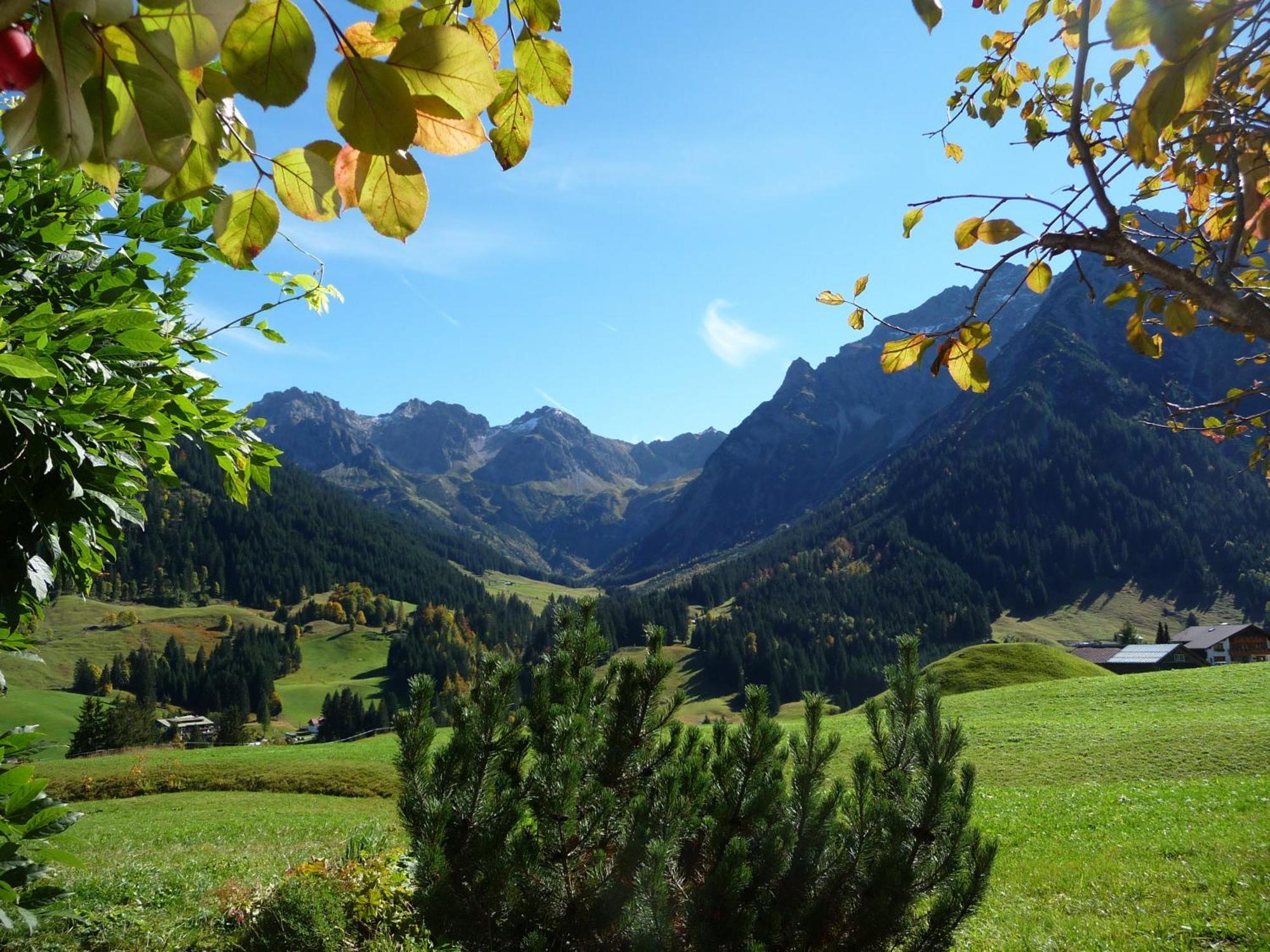 Haus Garni Luggi Leitner Hotel Mittelberg Kültér fotó